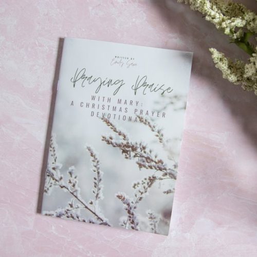 Praying Praise with Mary Everyday Faith Company