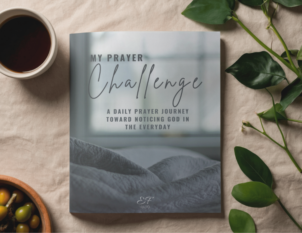 My Prayer Challenge The Everyday Faith Company