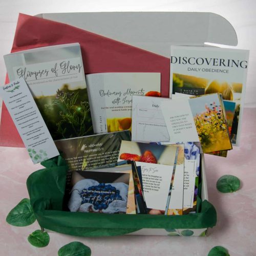 PDF VERSION: Daily Purpose Everyday Faith Growth Box