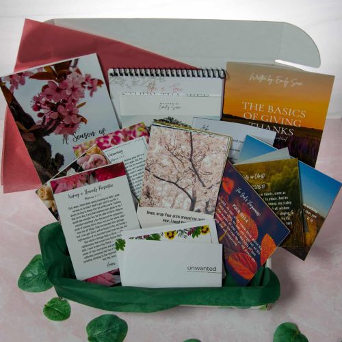 PDF VERSION: Finding Contentment Everyday Faith Growth Box